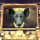 Illustration for article titled Kotaku Shop Contest: Canine Countenances: The Winners